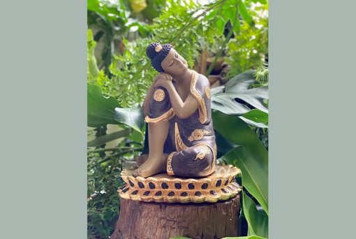 Tượng Phật Vô Ưu BS0076