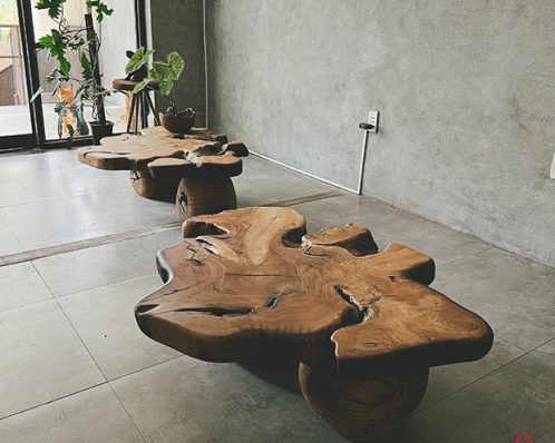 Bàn sofa - bàn trà lũa gỗ tự nhiên