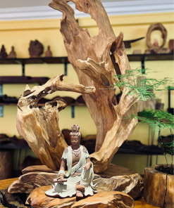 thiền lũa tâm an