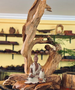 thiền lũa tâm an