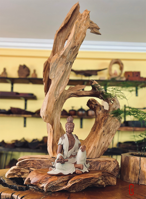 thiền lũa tâm an