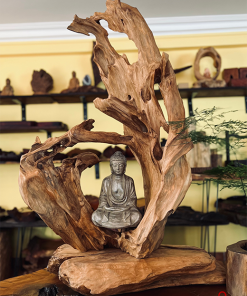 thiền lũa tâm an