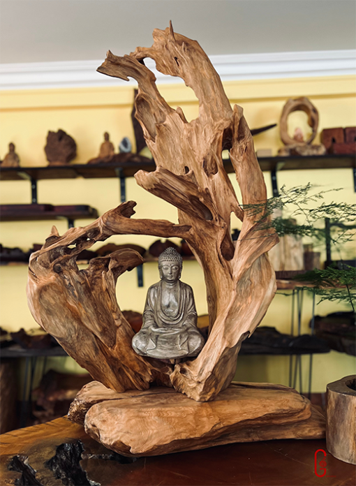 thiền lũa tâm an