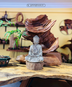 thiền lũa tâm an