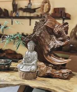 thiền lũa tâm an