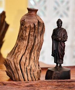 thiền lũa tâm an