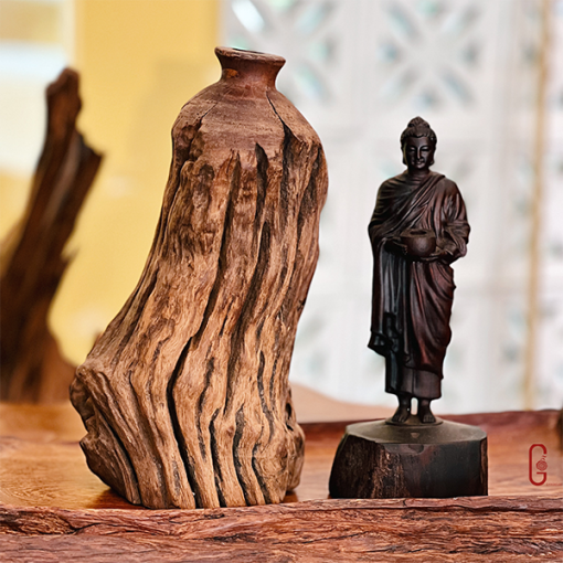 thiền lũa tâm an