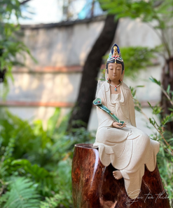 thiền lũa tâm an