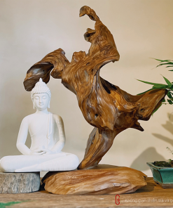 thiền lũa tâm an