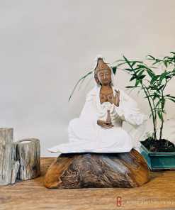thiền lũa tâm an