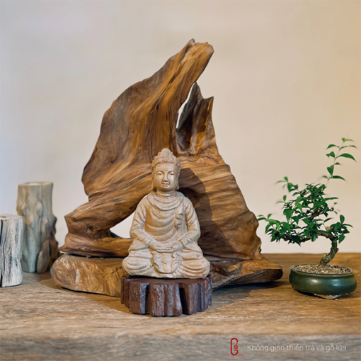 Thiền lũa tâm an