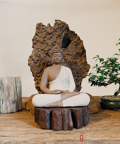 Thiền lũa Tâm An