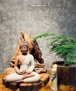 Thiền lũa Tâm an
