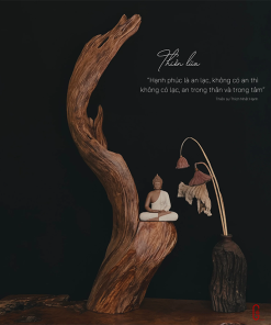 thiền lũa tâm an