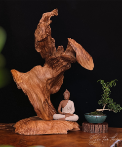 thiền lũa tâm an