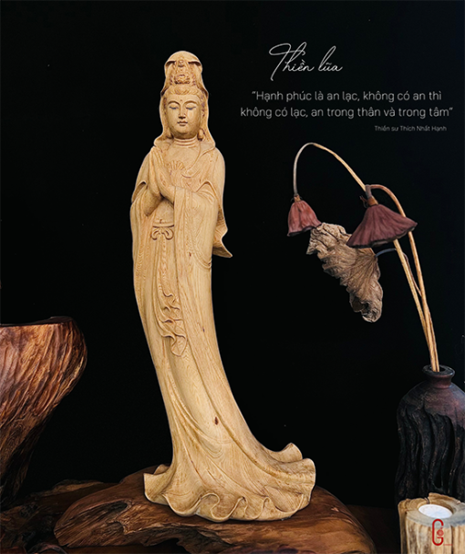thiền lũa tâm an