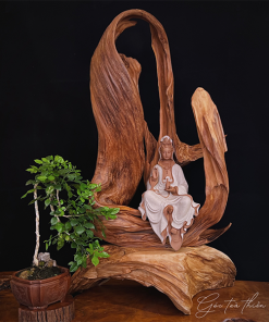 thiền lũa tâm an