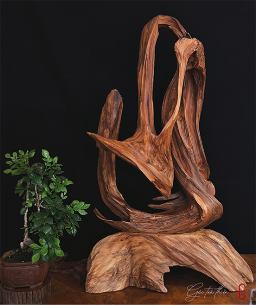 thiền lũa tâm an