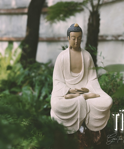 thiền lũa tâm an
