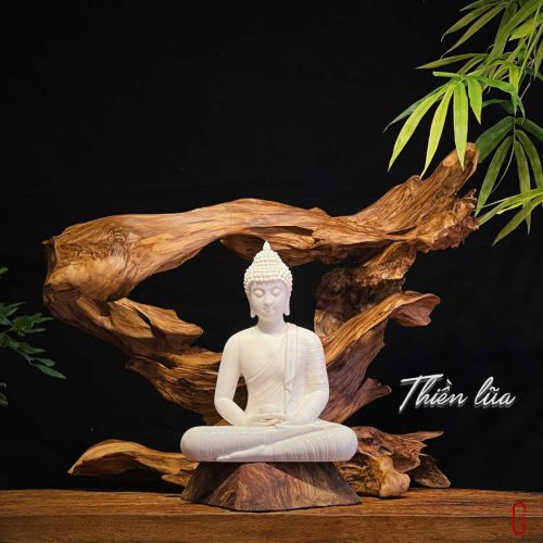 thiền lũa tâm an