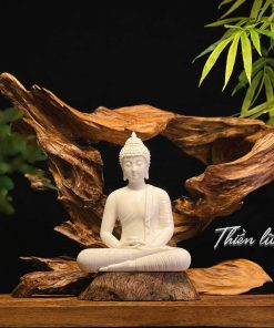 thiền lũa tâm an