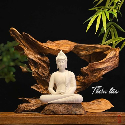 thiền lũa tâm an