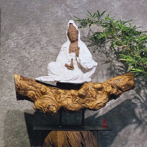 thiền lũa tâm an