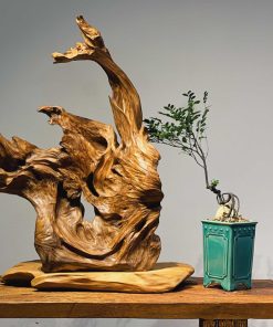 thiền lũa tâm an gốm bát tràng, lũa ngọc am