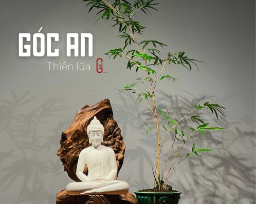 thiền lũa tâm an