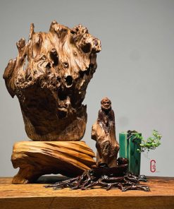 thiền lũa tâm an