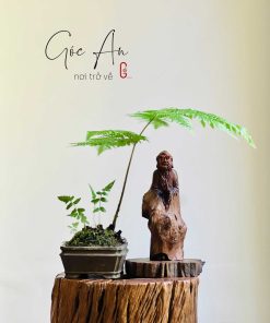 tượng đạt ma sư tổ lũa gỗ trắc