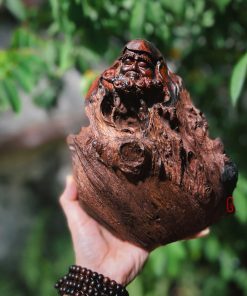 tượng đạt ma sư tổ nu gỗ trắc
