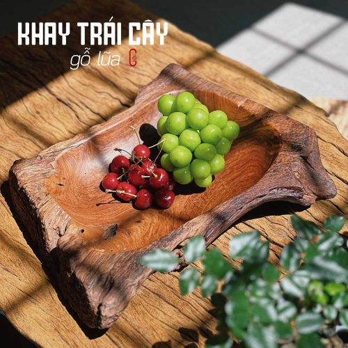 khay trái cây lũa gỗ tự nhiên