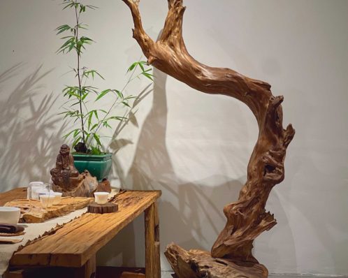 lũa gỗ ngọc am trưng bày không gian trà