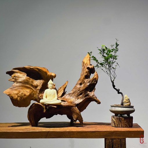 thiền lũa tâm an