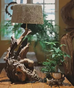 đèn bàn gỗ lũa trang trí