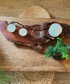 khay trà lũa gỗ hương