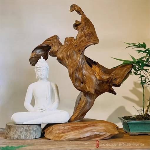 thiền lũa tâm an