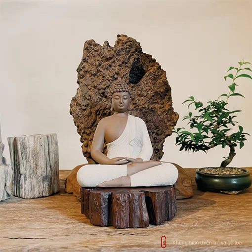 Thiền lũa Tâm An