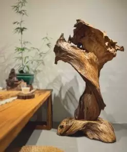 lũa gỗ ngọc am trưng bày