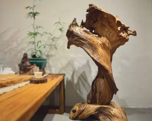 lũa gỗ ngọc am trưng bày
