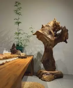 lũa gỗ ngọc am trưng bày