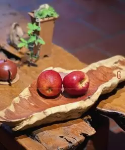 khay trưng bày gỗ lũa